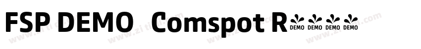 FSP DEMO   Comspot R字体转换